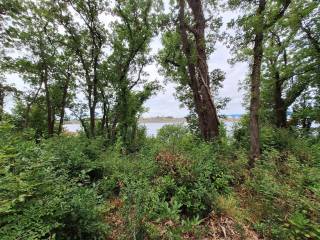 Sea view from the top of the plot