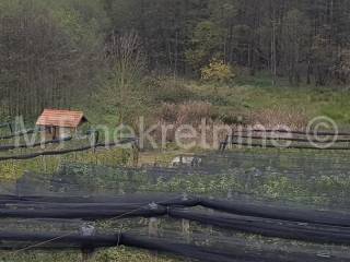 Obiteljsko gospodarstvo, Prodaja, Rovišće, Kovačevac