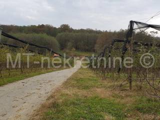 Obiteljsko gospodarstvo, Prodaja, Rovišće, Kovačevac