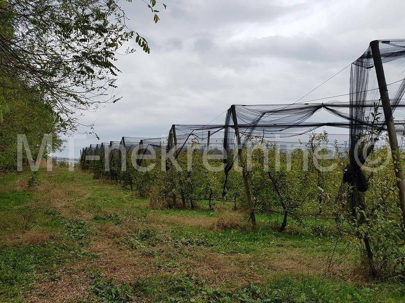Obiteljsko gospodarstvo, Prodaja, Rovišće, Kovačevac