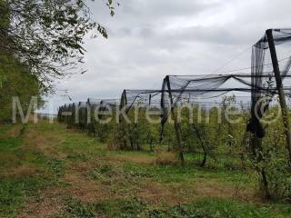 Obiteljsko gospodarstvo, Prodaja, Rovišće, Kovačevac