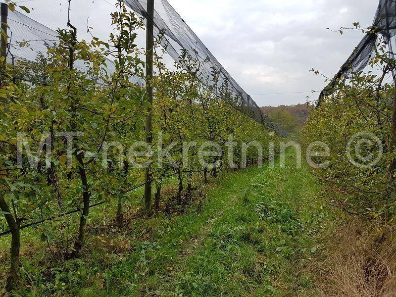 Obiteljsko gospodarstvo, Prodaja, Rovišće, Kovačevac