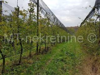 Obiteljsko gospodarstvo, Prodaja, Rovišće, Kovačevac