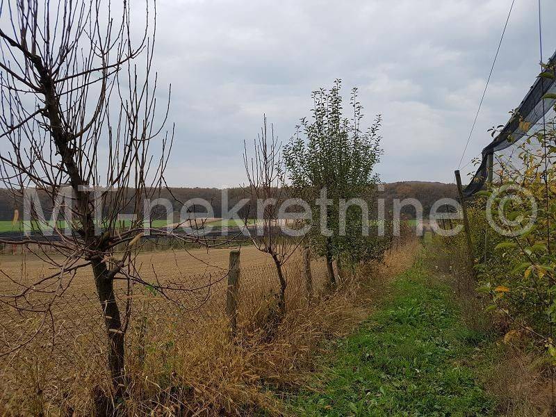 Obiteljsko gospodarstvo, Prodaja, Rovišće, Kovačevac
