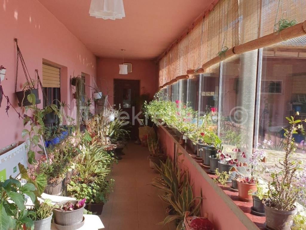 Obiteljska kuća, Prodaja, Kapela, Jabučeta