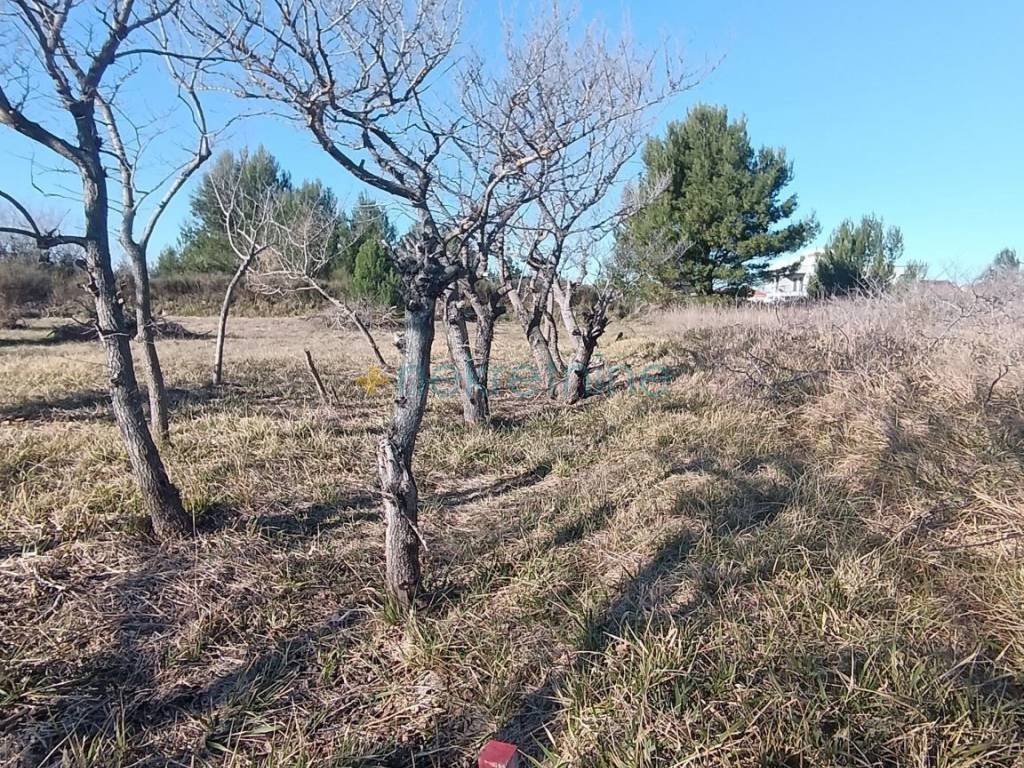 Građevinsko zemljište, Prodaja, Privlaka, Privlaka