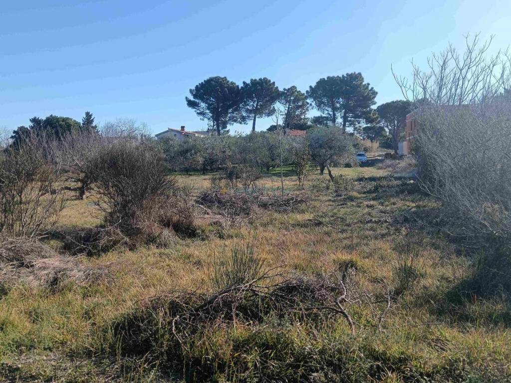 Građevinsko zemljište, Prodaja, Privlaka, Privlaka