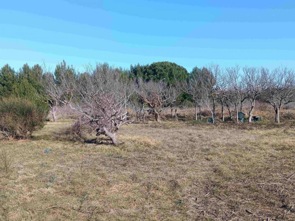 Građevinsko zemljište, Prodaja, Privlaka, Privlaka