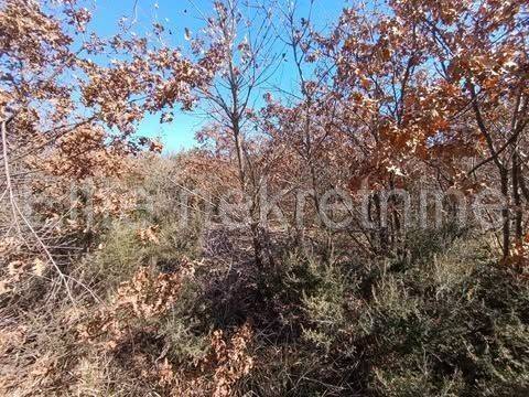 Poljoprivredno zemljište, Prodaja, Vodnjan, Gajana