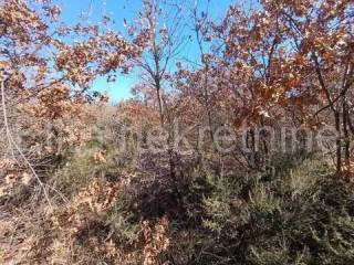 Poljoprivredno zemljište, Prodaja, Vodnjan, Gajana