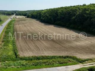 Poljoprivredno zemljište, Prodaja, Bjelovar - Okolica, Gornje Plavnice