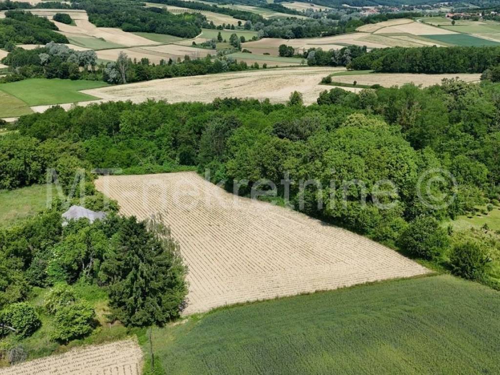 Poljoprivredno zemljište, Prodaja, Bjelovar - Okolica, Gornje Plavnice