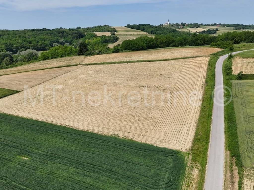 Poljoprivredno zemljište, Prodaja, Bjelovar - Okolica, Gornje Plavnice