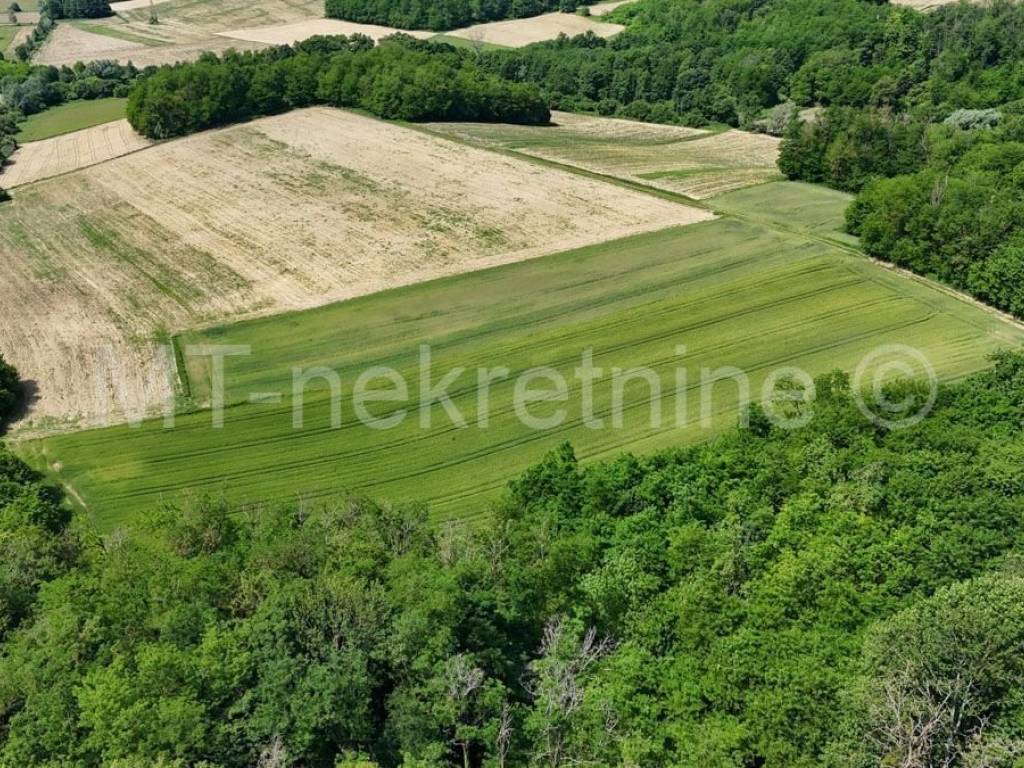 Poljoprivredno zemljište, Prodaja, Bjelovar - Okolica, Gornje Plavnice