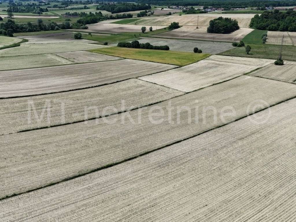 Poljoprivredno zemljište, Prodaja, Bjelovar - Okolica, Gornje Plavnice
