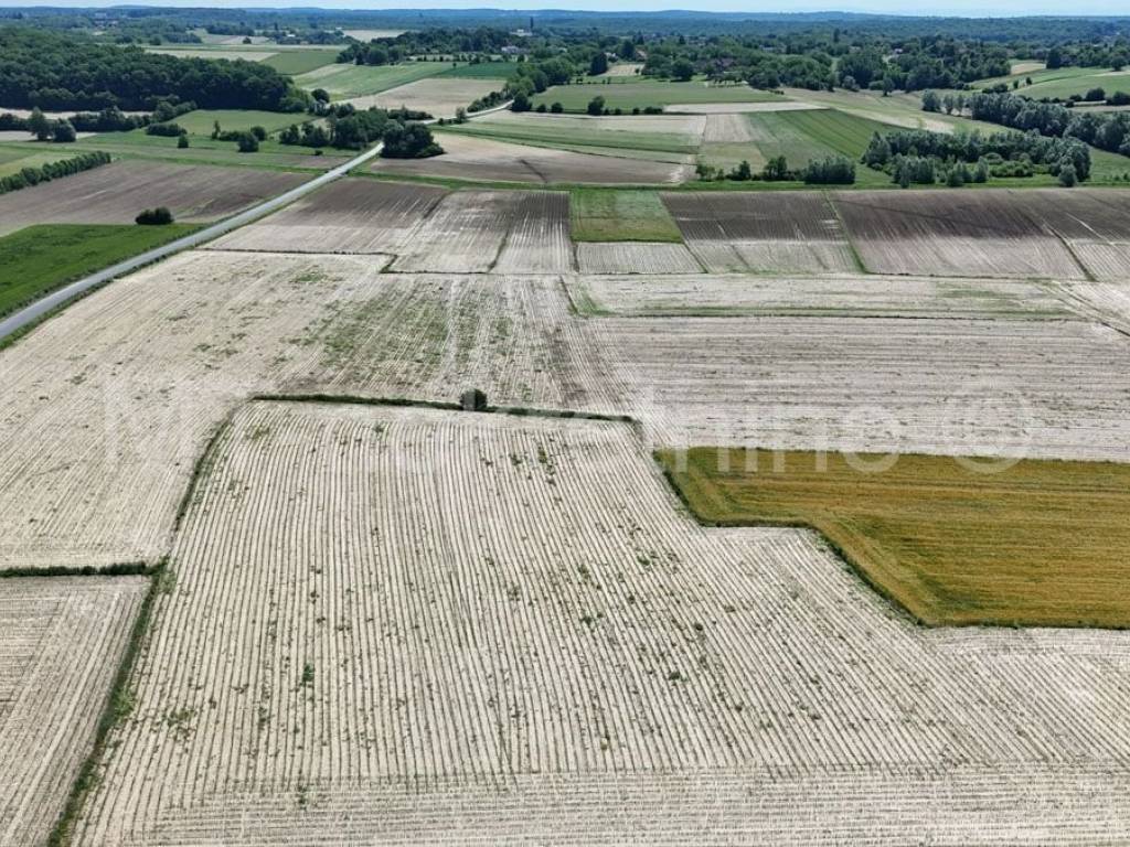 Poljoprivredno zemljište, Prodaja, Bjelovar - Okolica, Gornje Plavnice