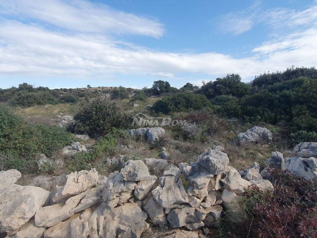 Poljoprivredno zemljište, Prodaja, Vir, Vir