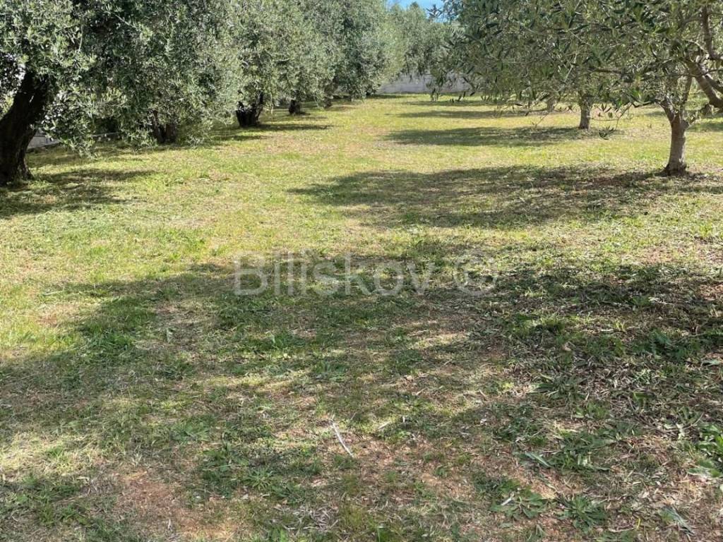 Građevinsko zemljište, Prodaja, Biograd na Moru, Biograd na Moru