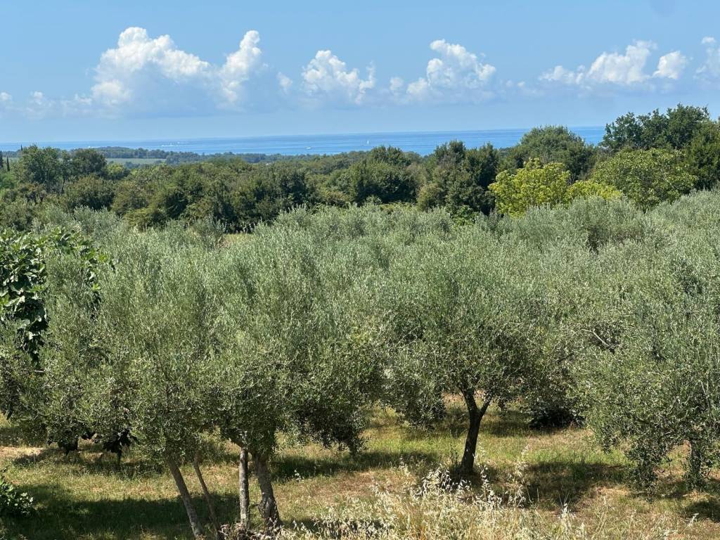 Građevinsko zemljište, Prodaja, Tar-Vabriga, Vabriga
