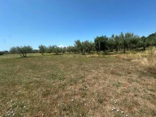Građevinsko zemljište, Prodaja, Tar-Vabriga, Vabriga