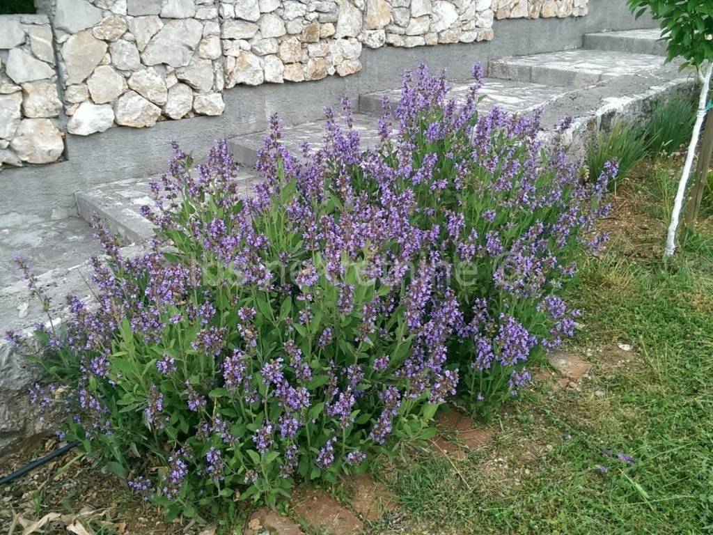 Građevinsko zemljište, Prodaja, Hrvace, Gornji Bitelić