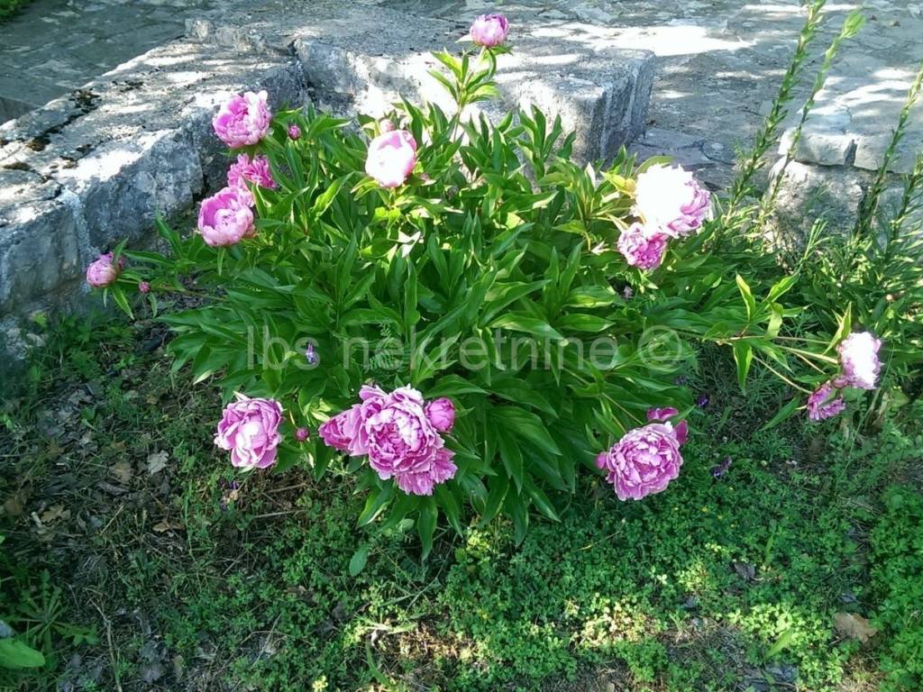 Građevinsko zemljište, Prodaja, Hrvace, Gornji Bitelić