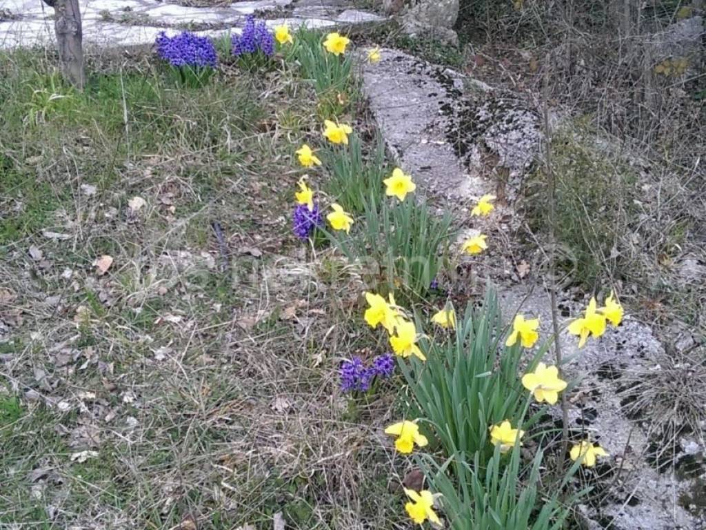 Građevinsko zemljište, Prodaja, Hrvace, Gornji Bitelić