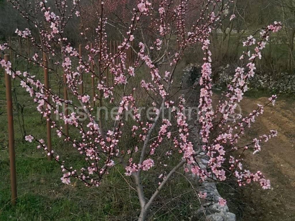 Građevinsko zemljište, Prodaja, Hrvace, Gornji Bitelić