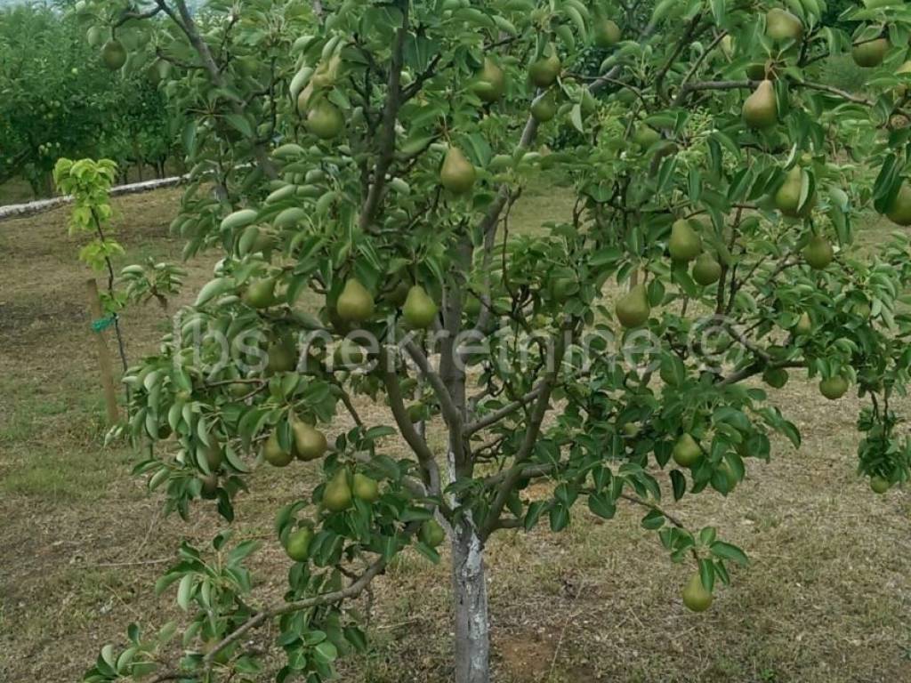Građevinsko zemljište, Prodaja, Hrvace, Gornji Bitelić