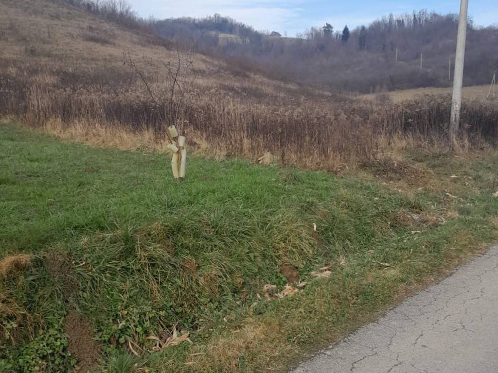 Krapinske toplice, Vrtnjakovec