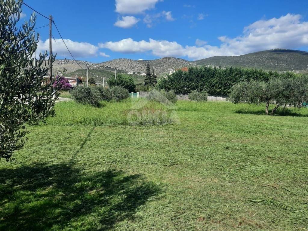 Plot for construction, Sale, Trogir - Okolica, Plano