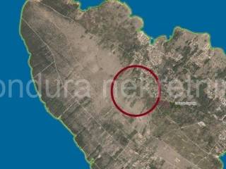Poljoprivredno zemljište, Prodaja, Vir, Vir