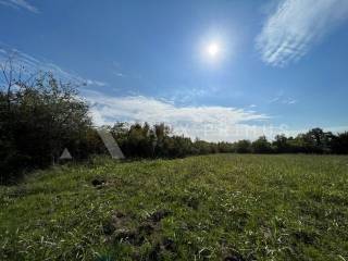 Poljoprivredno zemljište, Prodaja, Buje, Buje