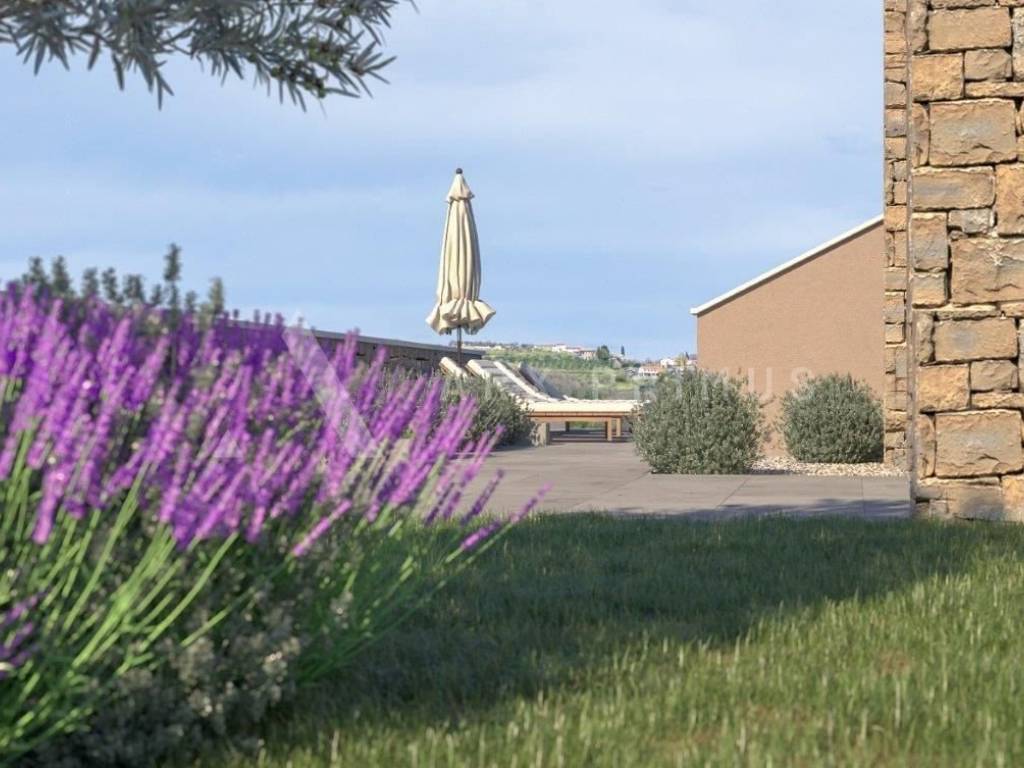 Vila, Prodaja, Buje, Momjan