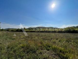 Poljoprivredno zemljište, Prodaja, Buje, Buje