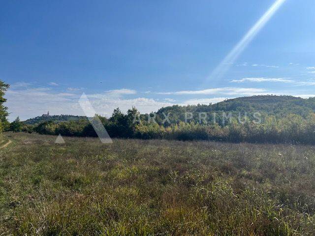 Poljoprivredno zemljište, Prodaja, Buje, Buje