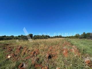 Poljoprivredno zemljište, Prodaja, Umag, Babići