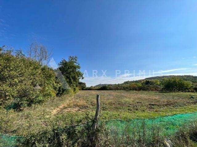 Poljoprivredno zemljište, Prodaja, Buje, Buje