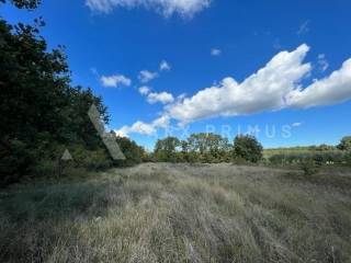 Poljoprivredno zemljište, Prodaja, Brtonigla, Brtonigla