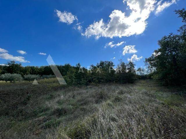 Poljoprivredno zemljište, Prodaja, Brtonigla, Brtonigla