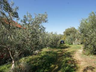Samostojeća kuća, Prodaja, Pakoštane, Vrana