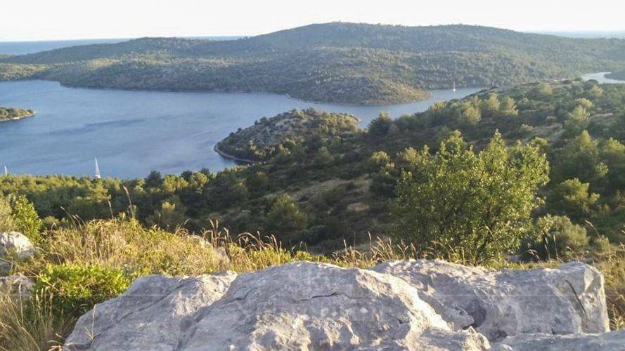 Poljoprivredno zemljište, Prodaja, Sali, Sali