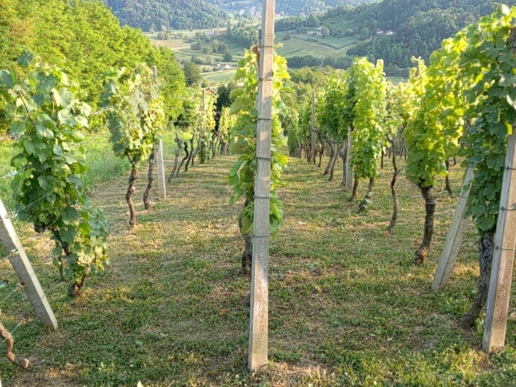 Samostojeća kuća, Prodaja, Pregrada, Vinagora