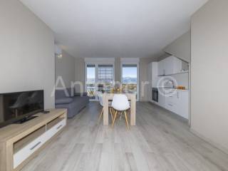 Apartman na moru, Prodaja, Povljana, Povljana