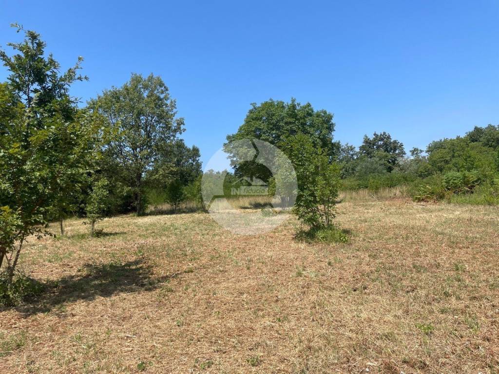 Poljoprivredno zemljište, Prodaja, Marčana, Krnica