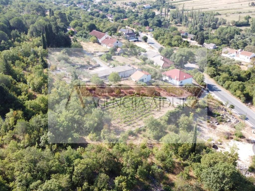 Imotski, Imotski
