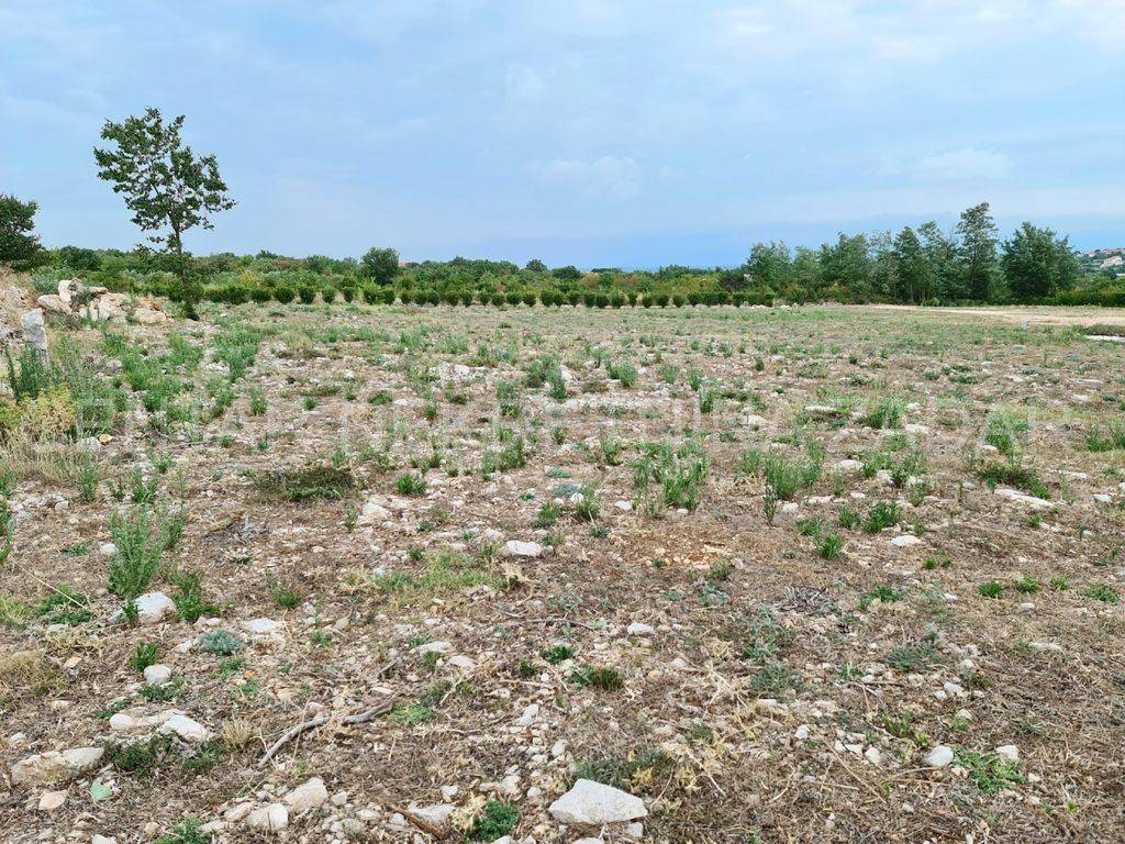 Građevinsko zemljište, Prodaja, Polača, Donja Jagodnja