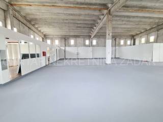 Hala, Najam, Zadar, Zadar