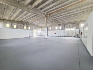 Hala, Najam, Zadar, Zadar