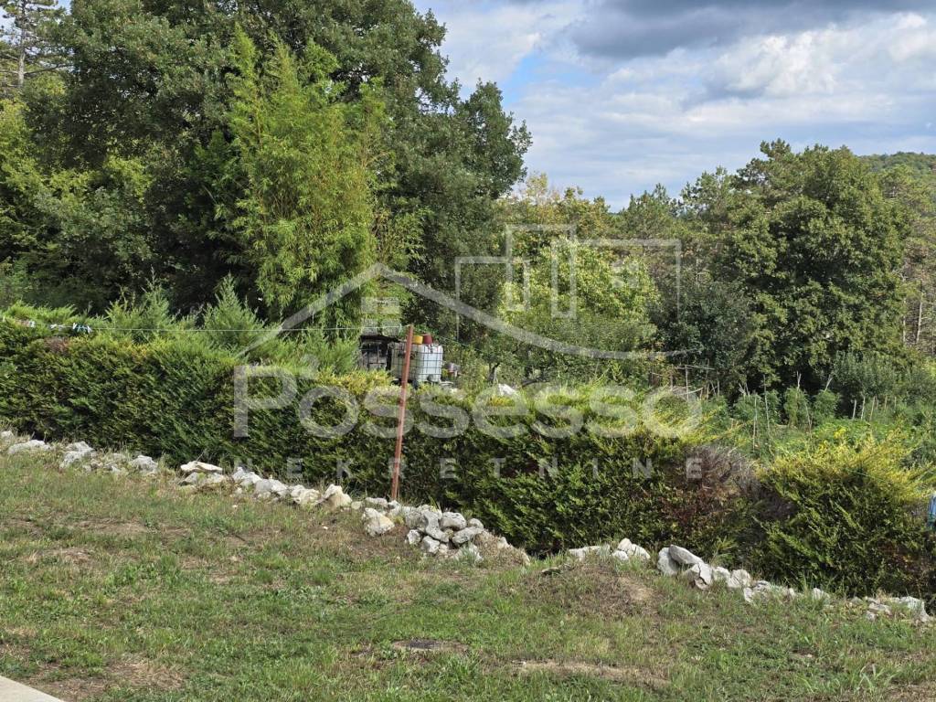 Buzet, Buzet